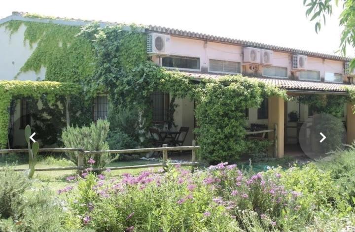 Il Piccolo Borgo Διαμέρισμα Montalto di Castro Εξωτερικό φωτογραφία