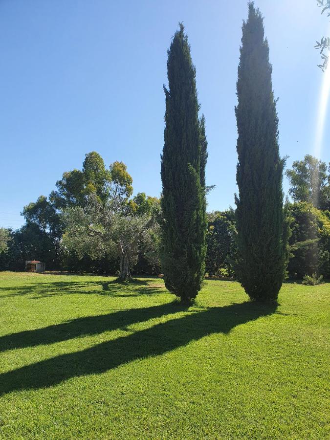 Il Piccolo Borgo Διαμέρισμα Montalto di Castro Εξωτερικό φωτογραφία